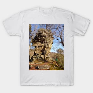 Storming The Castle T-Shirt